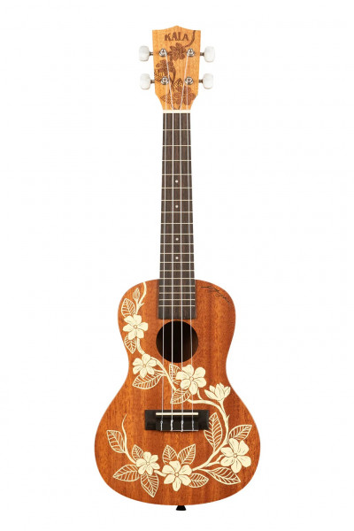 Gardenia Mahogany Konzert