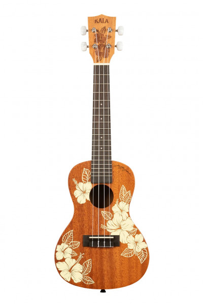 Hibiscus Mahogany Konzert